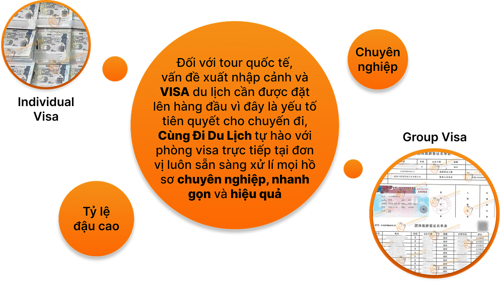 Dịch vụ Visa – Individual Visa, Group Visa, Chuyên nghiệp, Tỷ lệ đậu cao