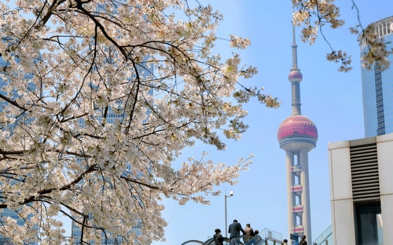 Du lịch Thượng Hải